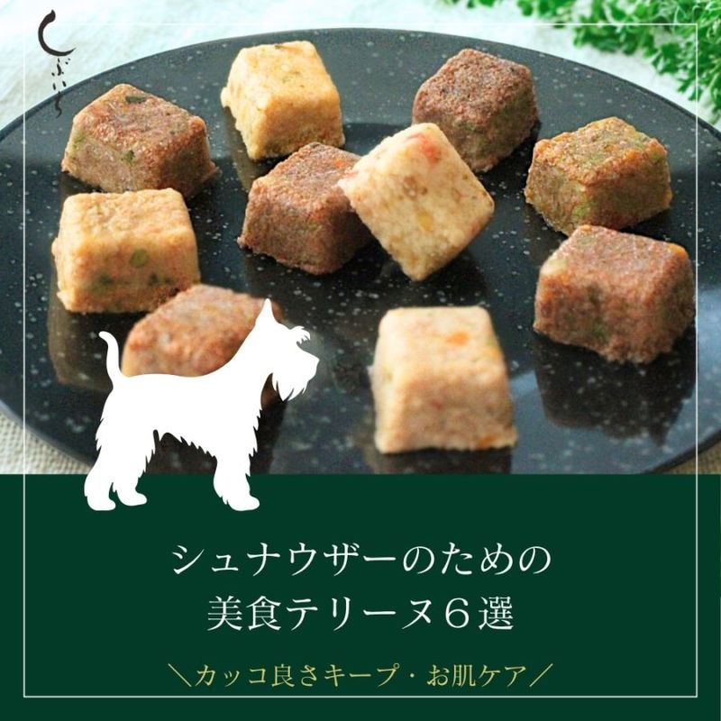 【シュナウザーのための】美食テリーヌ6選（クロコダイル・エミュー・カンガルー・イノシシ・馬・豚）