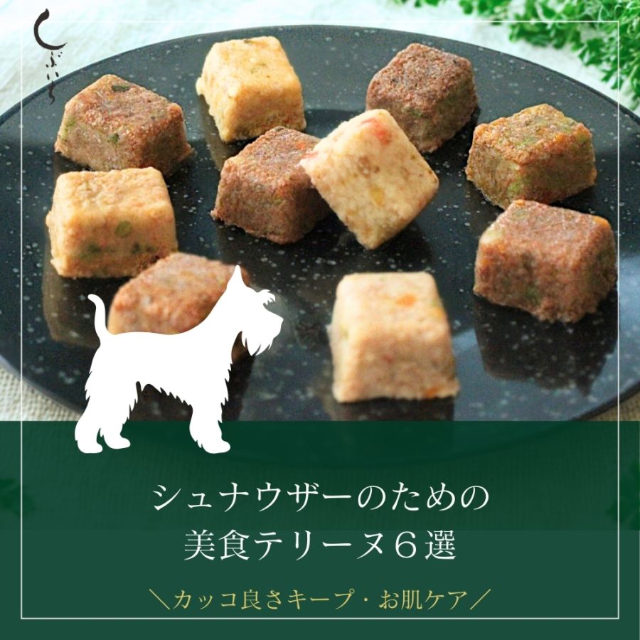 【シュナウザーのための】美食テリーヌ6選（クロコダイル・エミュー・カンガルー・イノシシ・馬・豚）