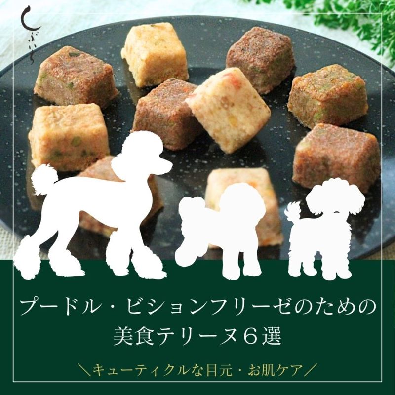 【プードル・ビションフリーゼのための】美食テリーヌ6選（エミュー・カンガルー・イノシシ・合鴨・鶏・馬）