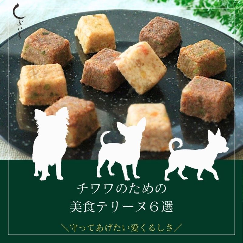 【チワワのための】美食テリーヌ6選（エミュー・牛・馬・鶏・合鴨・内臓）