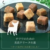 【チワワのための】美食テリーヌ6選（エミュー・牛・馬・鶏・合鴨・内臓）