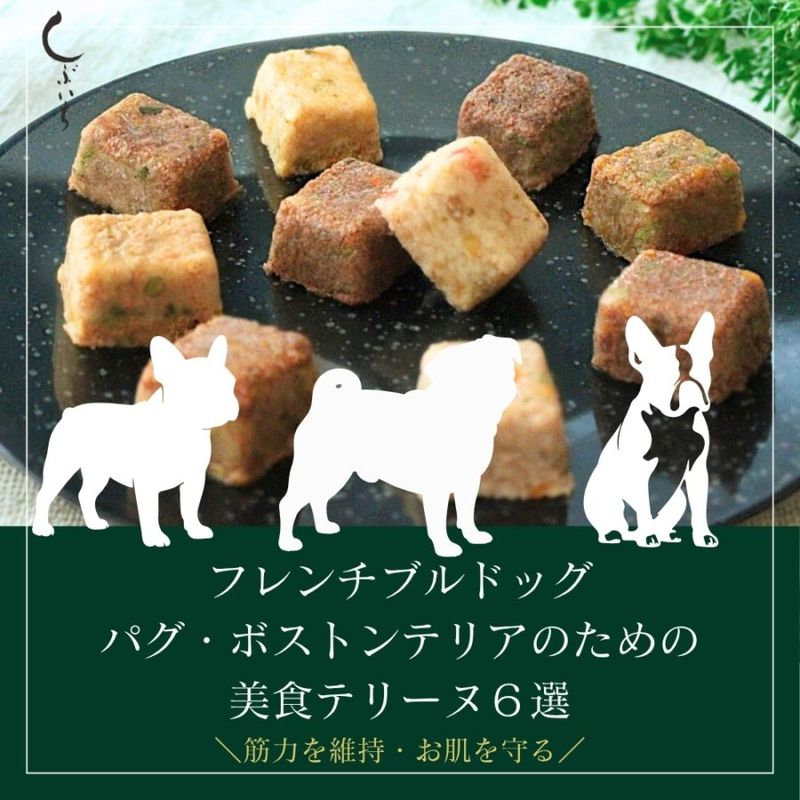 【フレンチブルドッグ・パグ・ボストンテリアのための】美食テリーヌ6選（クロコダイル・カンガルー・イノシシ・牛・馬・豚）