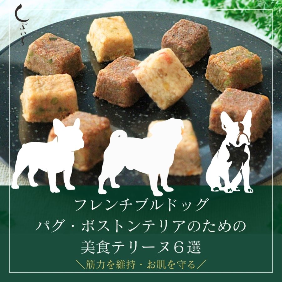 【フレンチブルドッグ・パグ・ボストンテリアのための】美食テリーヌ6選（クロコダイル・カンガルー・イノシシ・牛・馬・豚）