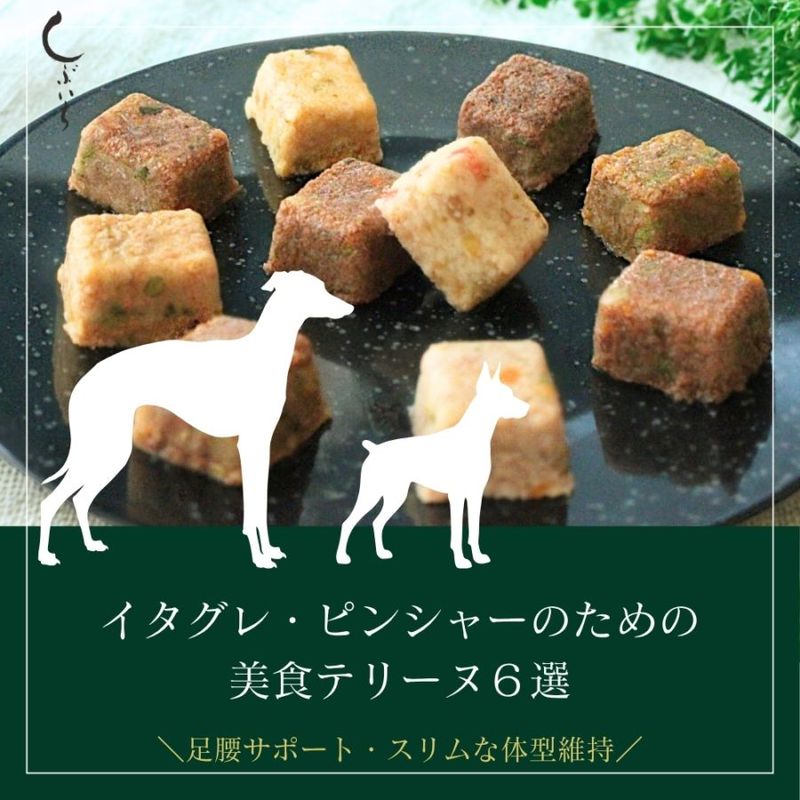 【ピンシャー・イタグレのための】美食テリーヌ6選（カンガルー・エミュー・イノシシ・合鴨・鶏・馬）