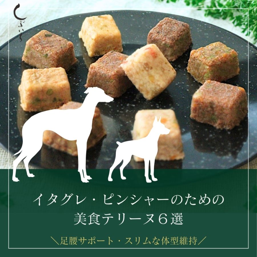 【ピンシャー・イタグレのための】美食テリーヌ6選（カンガルー・エミュー・イノシシ・合鴨・鶏・馬）