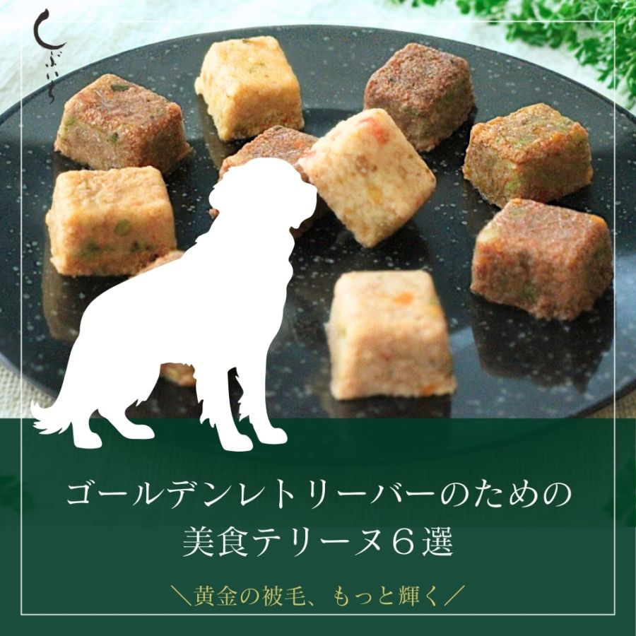 【ゴールデンレトリーバーのための】美食テリーヌ6選（クロコダイル・カンガルー・イノシシ・合鴨・鶏・馬）