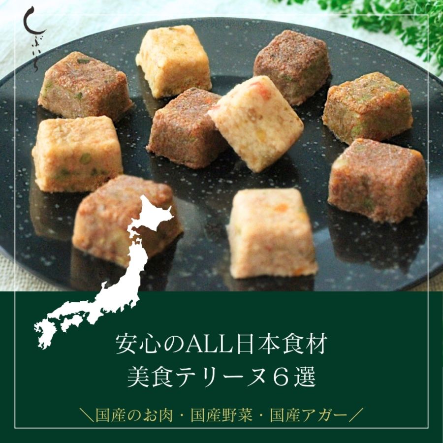 【犬用・猫用】【安心のALL日本食材】美食テリーヌ6選（牛・馬・豚・鶏・イノシシ・エミュー）