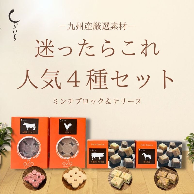 【九州産厳選素材】人気4種セット ミンチブロック&テリーヌ