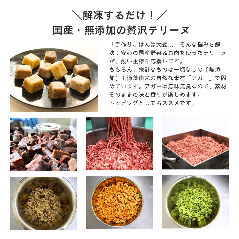 029クロコダイルテリーヌ30g