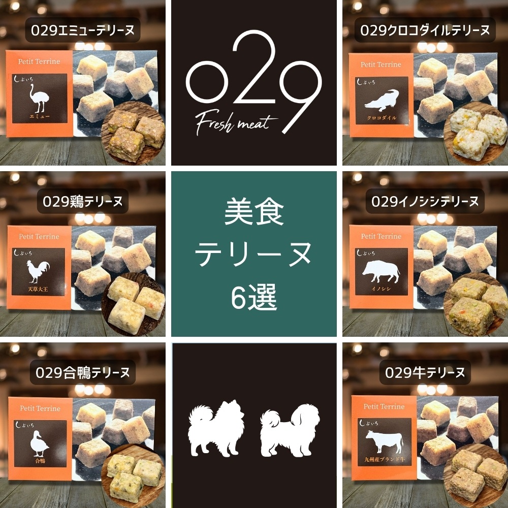 【ポメラニアン・シーズーのための】美食テリーヌ6選（クロコダイル・エミュー・イノシシ・合鴨・鶏・牛）