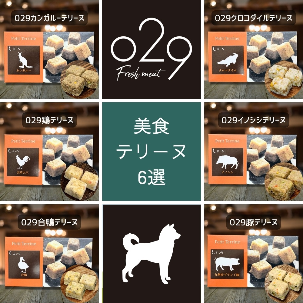 【柴犬のための】美食テリーヌ6選（クロコダイル・カンガルー・イノシシ・合鴨・鶏・豚）