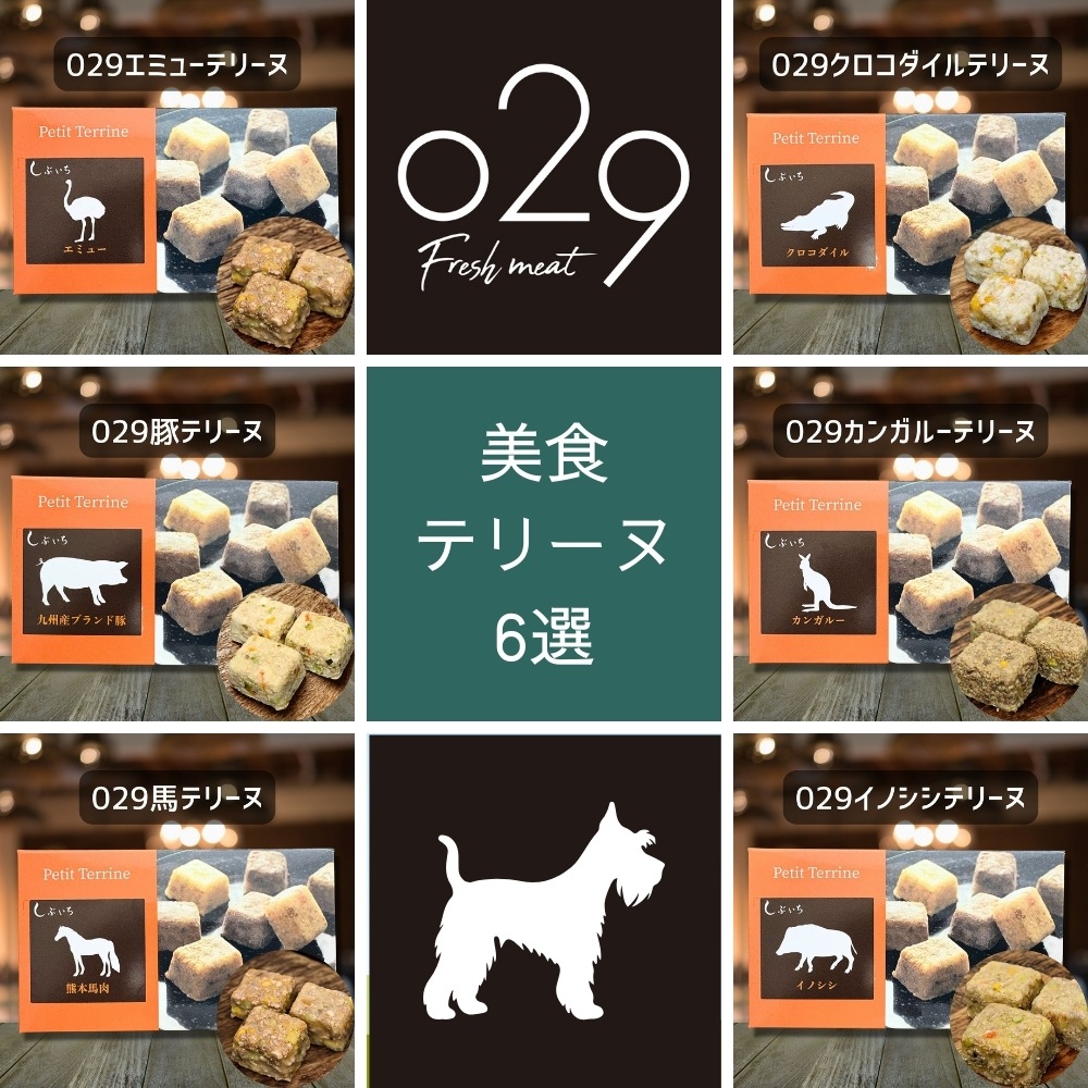 【シュナウザーのための】美食テリーヌ6選（クロコダイル・エミュー・カンガルー・イノシシ・馬・豚）