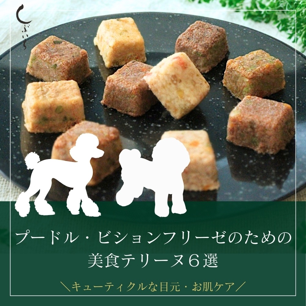 【プードル・ビションフリーゼのための】美食テリーヌ6選（エミュー・カンガルー・イノシシ・合鴨・鶏・馬）