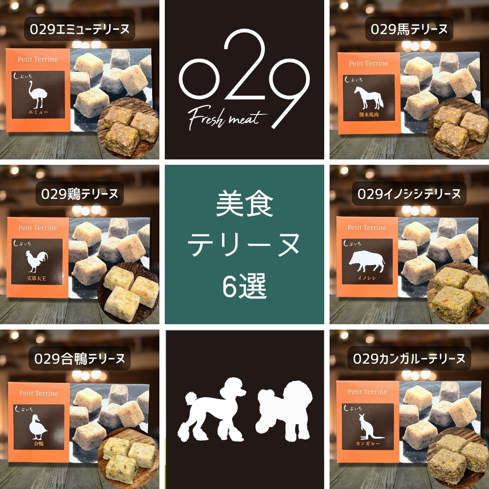 【プードル・ビションフリーゼのための】美食テリーヌ6選（エミュー・カンガルー・イノシシ・合鴨・鶏・馬）