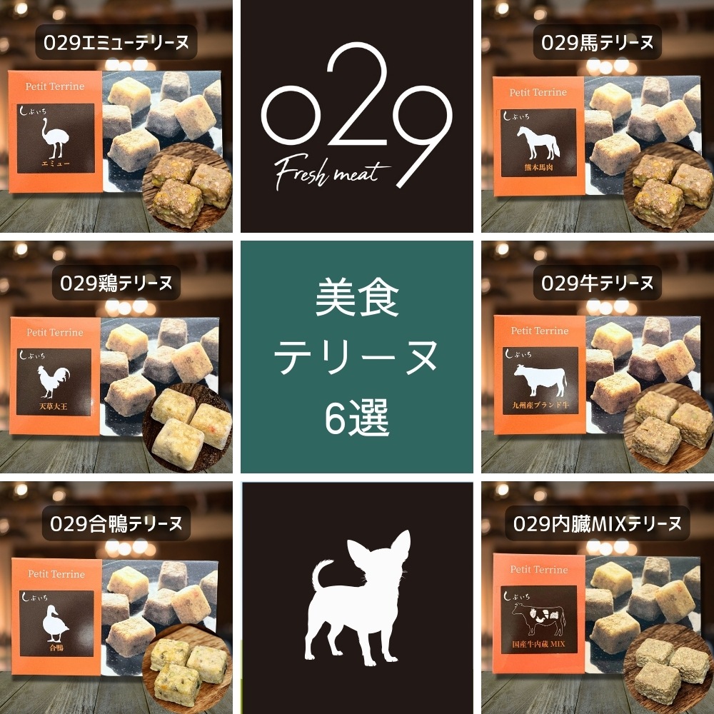 【チワワのための】美食テリーヌ6選（エミュー・牛・馬・鶏・合鴨・内臓）