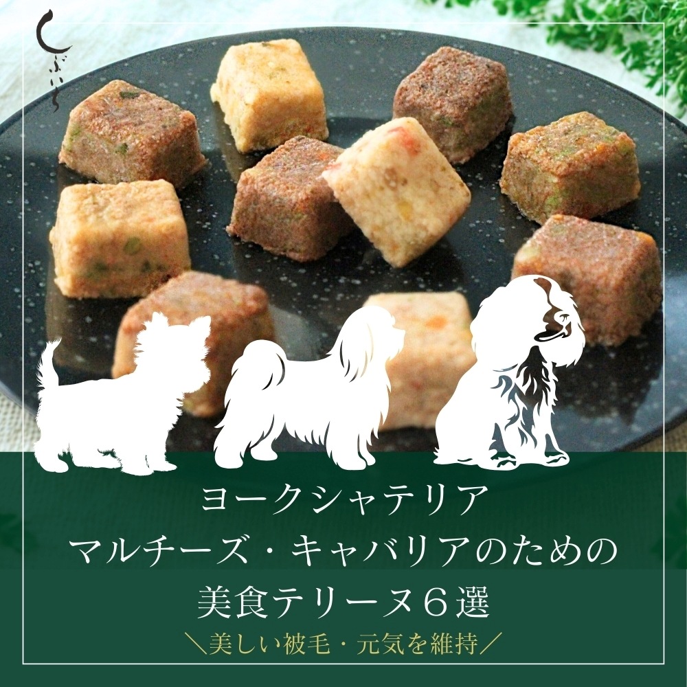 【ヨークシャテリア・マルチーズ・キャバリアのための】美食テリーヌ6選（エミュー・イノシシ・合鴨・鶏・馬・内臓）