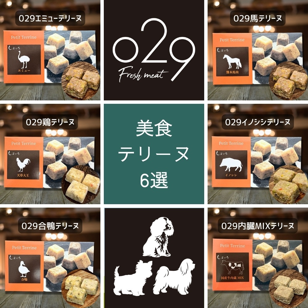 【ヨークシャテリア・マルチーズ・キャバリアのための】美食テリーヌ6選（エミュー・イノシシ・合鴨・鶏・馬・内臓）