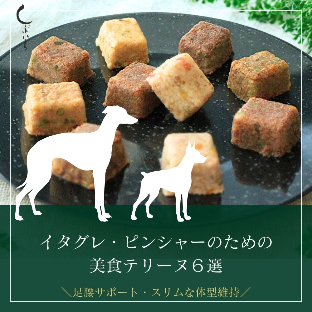【ピンシャー・イタグレのための】美食テリーヌ6選（カンガルー・エミュー・イノシシ・合鴨・鶏・馬）