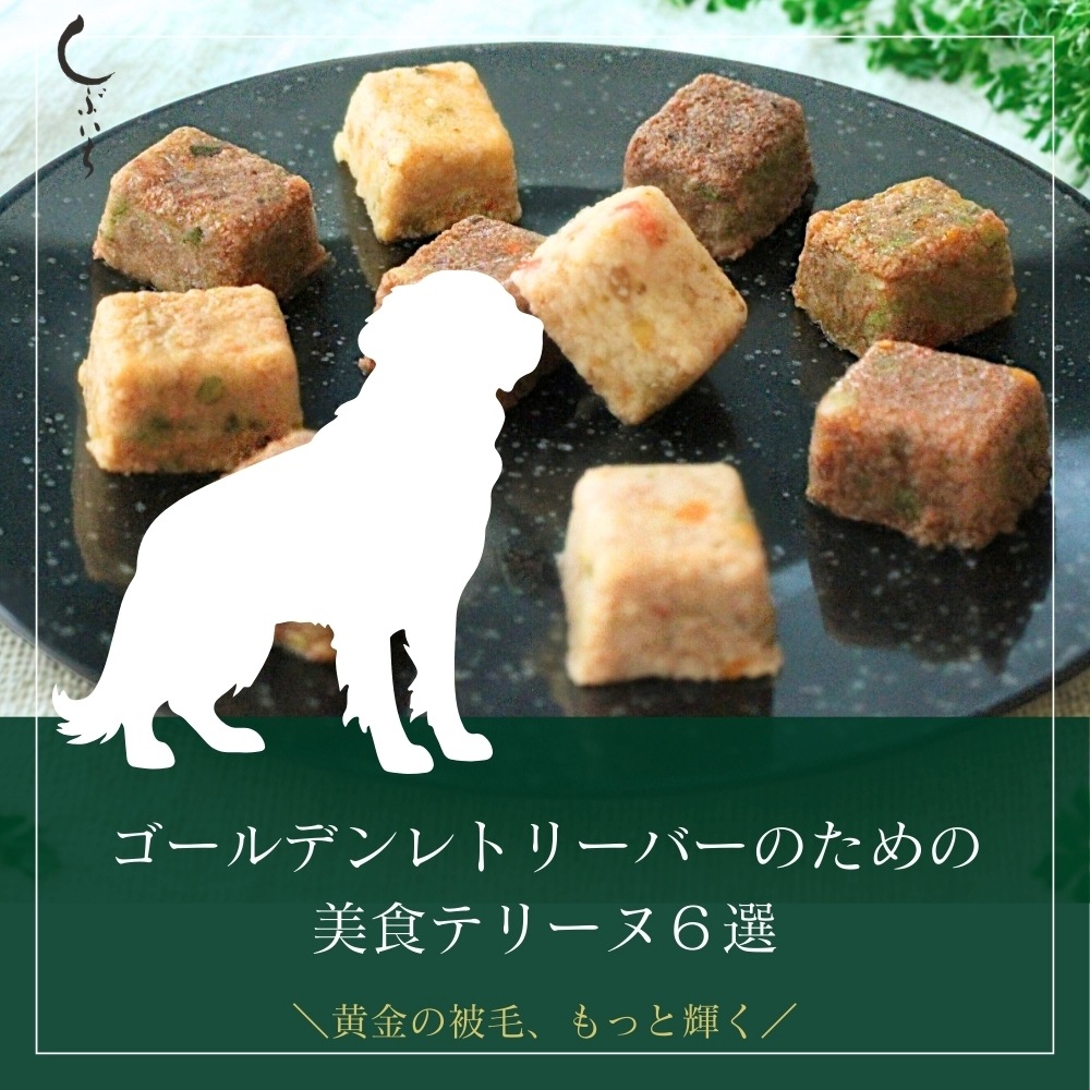 【ゴールデンレトリーバーのための】美食テリーヌ6選（クロコダイル・カンガルー・イノシシ・合鴨・鶏・馬）