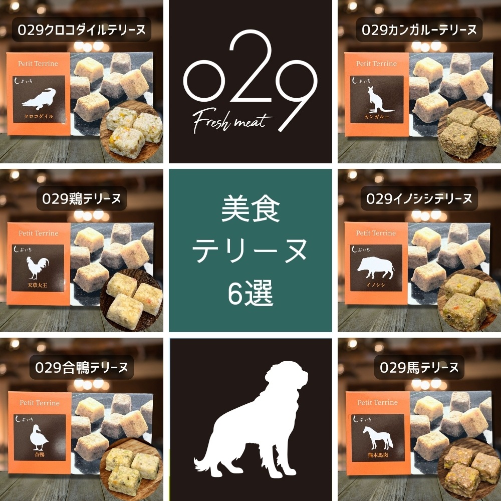 【ゴールデンレトリーバーのための】美食テリーヌ6選（クロコダイル・カンガルー・イノシシ・合鴨・鶏・馬）