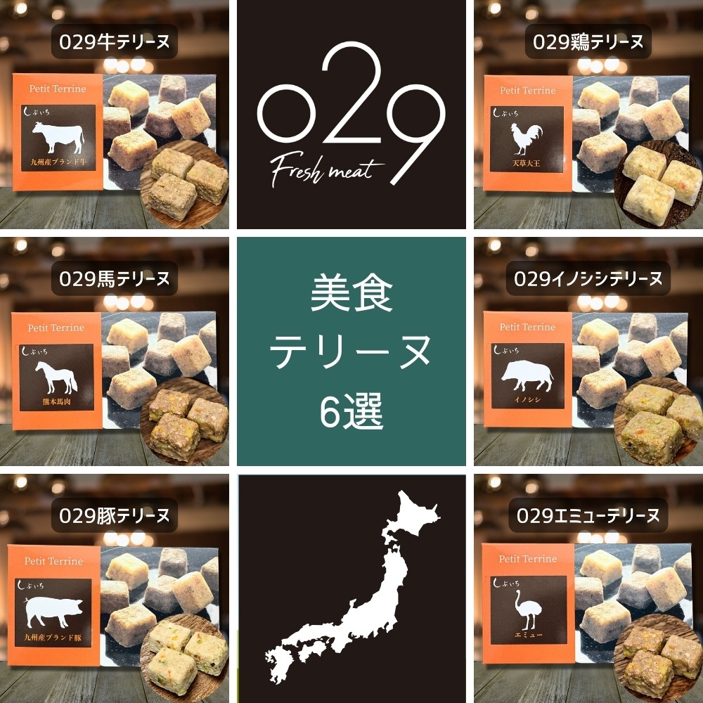 【安心のALL日本食材】美食テリーヌ6選（牛・馬・豚・鶏・イノシシ・エミュー）