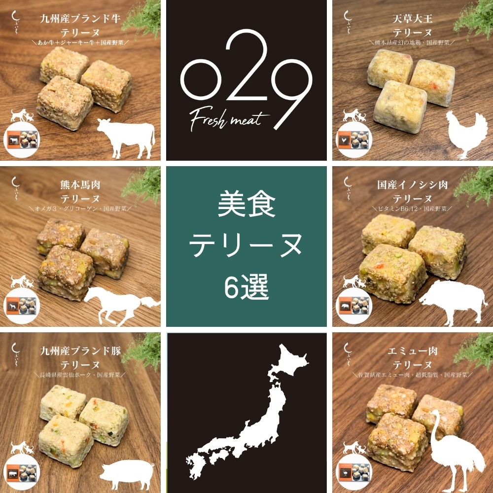 【犬用・猫用】【安心のALL日本食材】美食テリーヌ6選（牛・馬・豚・鶏・イノシシ・エミュー）