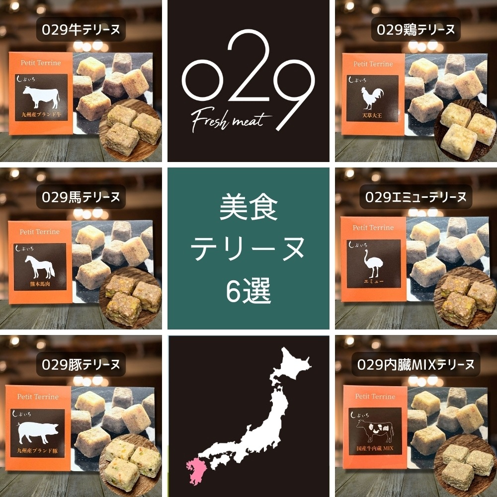 【犬用・猫用】【九州産のお肉で作った】美食テリーヌ6選（牛・馬・豚・鶏・エミュー・内臓）