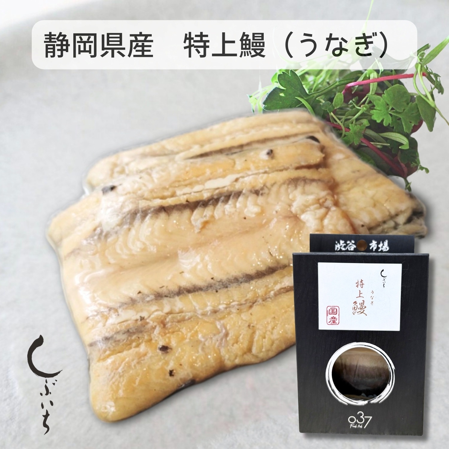 【お買得】お魚の日限定セット(鰻・鯛・鰤・鮫・鯡・秋刀魚)