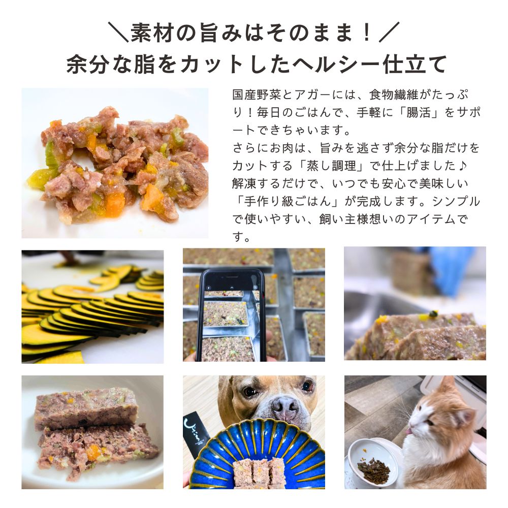 【九州産厳選素材】人気４種セット ミンチブロック＆テリーヌ