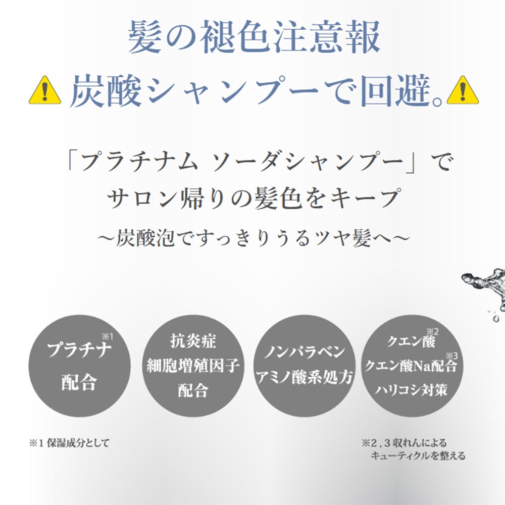 リックス　プラチナム ソーダシャンプー