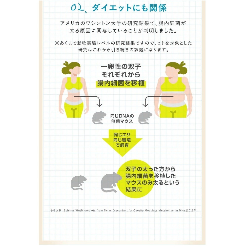 【バイオ製薬】BroadBifi ブロードビフィ 機能性表示食品｜30日 30包