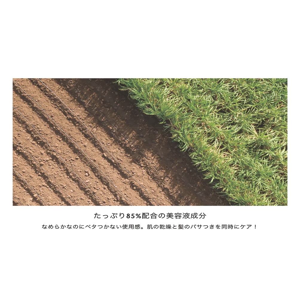 QUEEN'S DAY | ハンド&ヘアートリートメント/ニューラブ イン タンジール(30g)