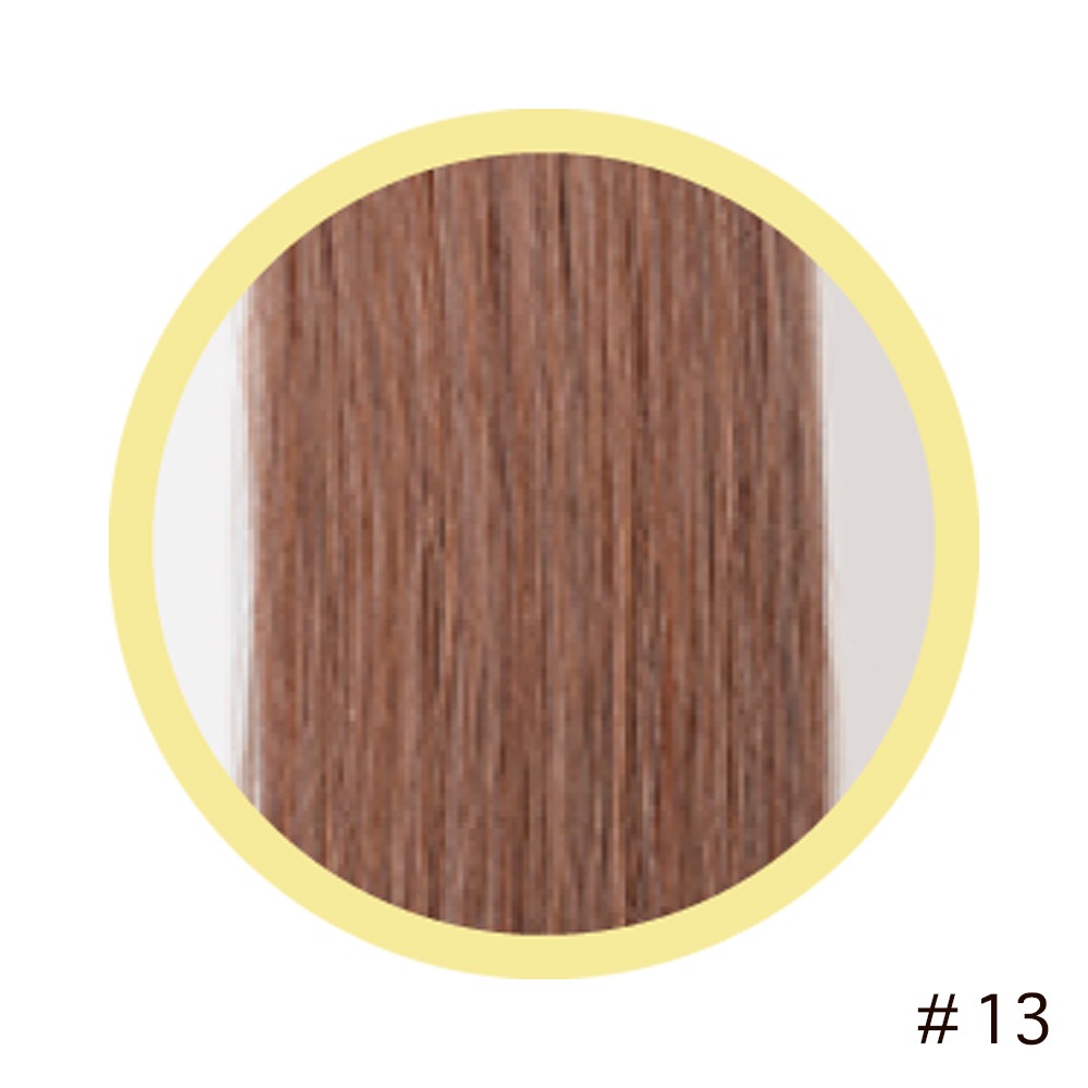 【A-TYPE】編込みエクステ ライトカラー 67cm 100g ライトカラー