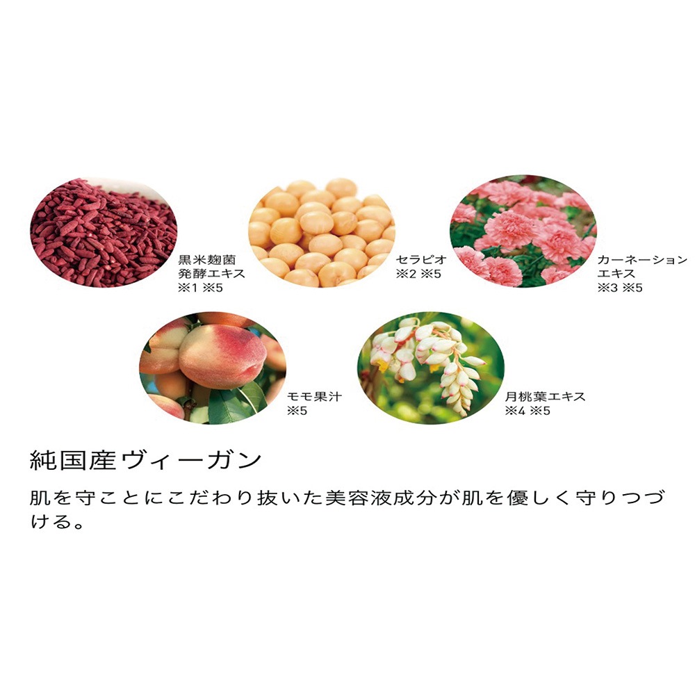 QUEEN'S DAY | ザ オールインファンデーション（本体/16g）