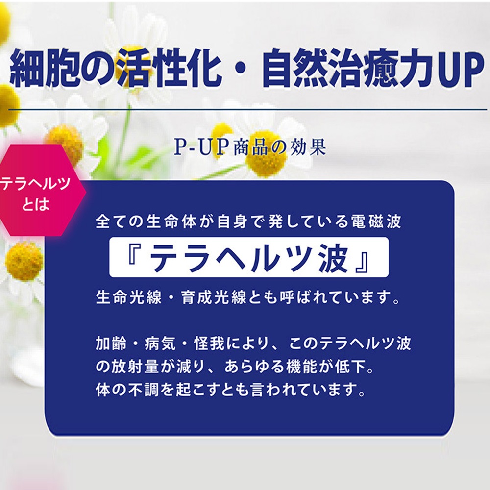 P-UP リカバリー レギンス