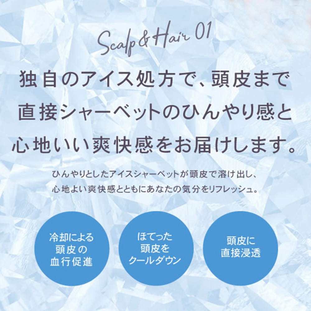 リックス 薬用スキャルプシャーベッツ