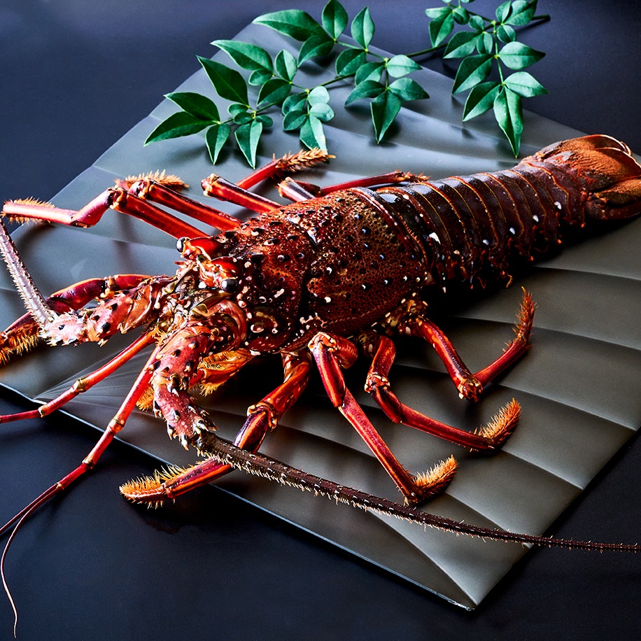 生冷凍 国産 伊勢海老 ガーリックバターつき/年末特別商品【宅配便/全国配送】