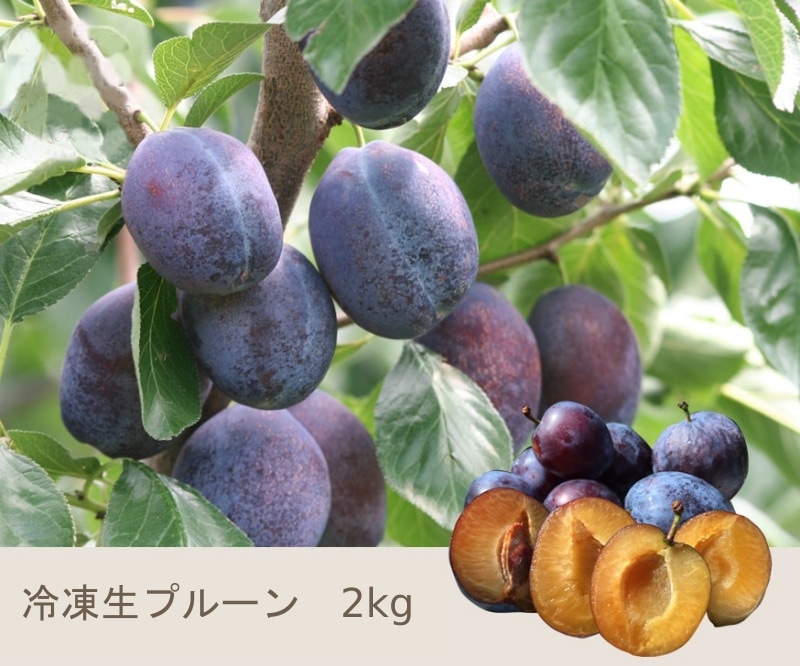 KIMONO FRUITS】冷凍プルーン(長野産)5kg(1000g×5)国産 KIMONO FRUITS】冷凍プルーン(長野産)5kg(1000g×5)国産
