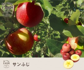 դ  10