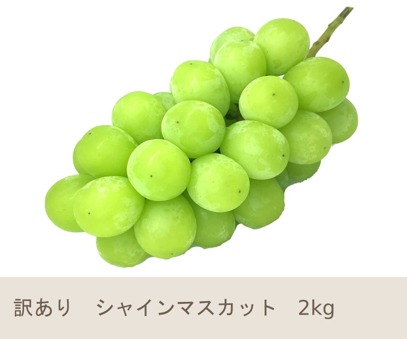 9月中旬 シャインマスカット 2キロ | くだもの,ぶどう | Su-eat Farm