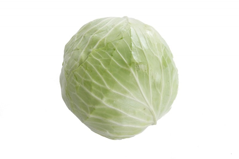 ����٥ġ�1�ġ���Ĺ���������¾��