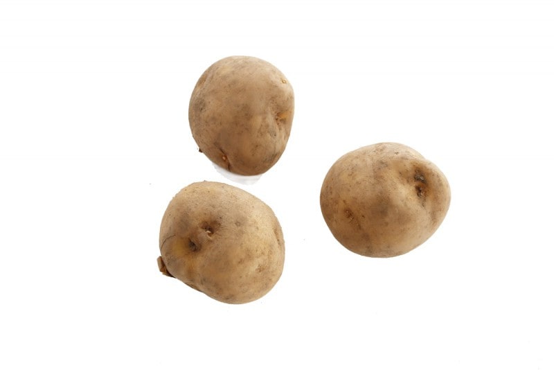 �˼ߤ��㤬���⡡1�ޡ����̳�ƻ Ĺ���  ��