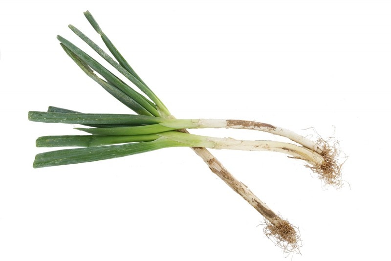 Ĺ�ͤ���1« ��Ĺ�����