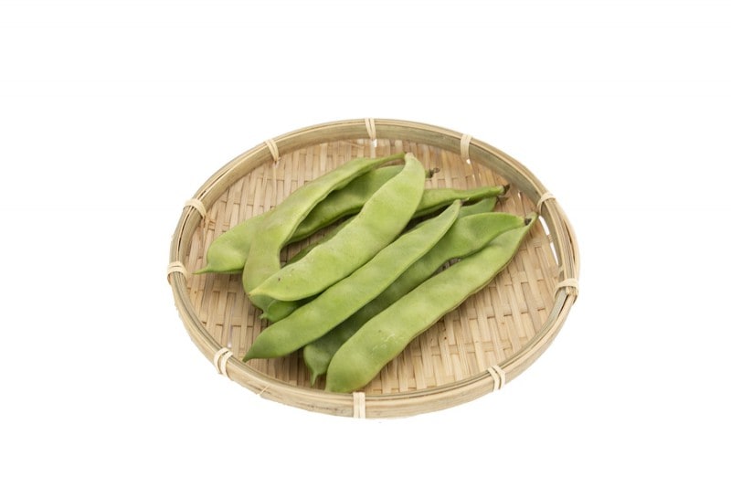 ����å����󤲤�1�ޡ��ڤ���¾��