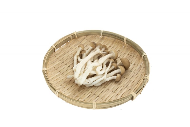 �֤ʤ��ᤸ��1�ޡ�����Ĺ���������ľ������