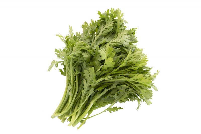 �յơ�1�ޡ���Ĺ���������¾��