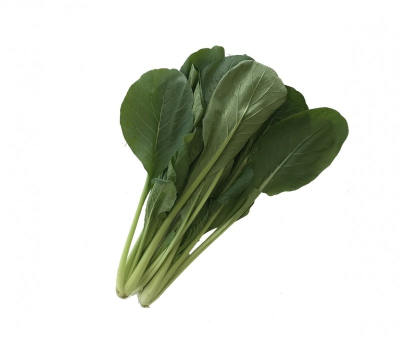 �����ڡ�1�ޡ��ڰ�븩�� Ĺ�������¾��