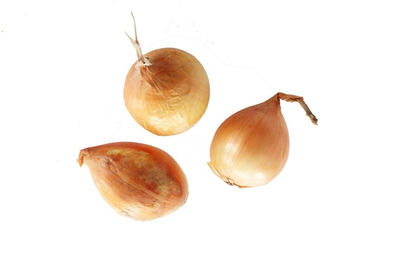 ̵���� ���ޤͤ�����300g����Ĺ�����