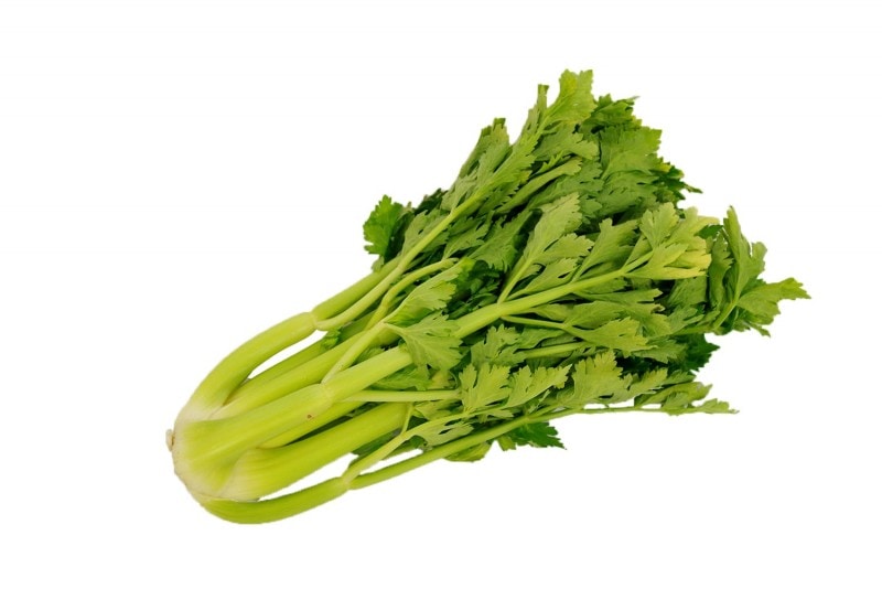 ������ ���硡1«��