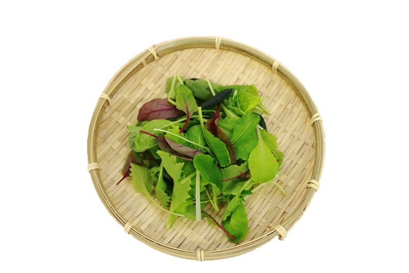 �٥ӡ��꡼�ա�1�ޡ����� ����¾����